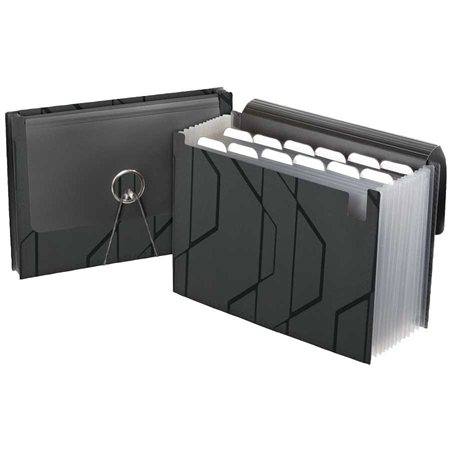 Pocket Expandable File