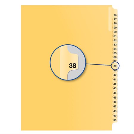 Individual Numerical Litigation Index Dividers