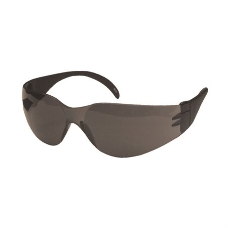 Dentec CeeTec Safety Glasses