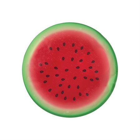 Bloc réfrigérant - Melon d'eau (paquet de 2)