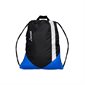 Lavoie Shoe Bag -Royal Blue