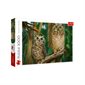 Night birds puzzle - 1000 pcs