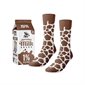 Chaussettes lait au chocolat