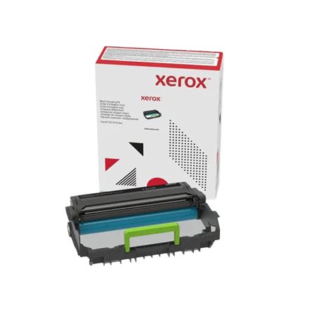 Unité d'imagerie Xerox B305 / B310 / B315