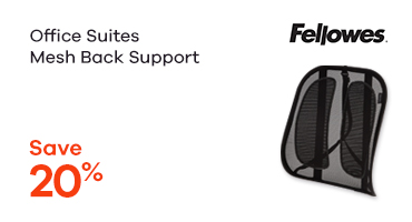 Mesh Back Support