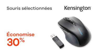 Souris sans fil 